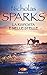 La risposta e nelle stelle by Nicholas Sparks