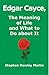 Edgar Cayce, The Meaning of Life and What to Do About It by Stephen Hawley Martin