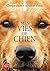 Mes vies de chien (Livre de Poche Jeunesse) by W. Bruce Cameron