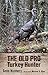 The Old Pro Turkey Hunter by Gene Nunnery