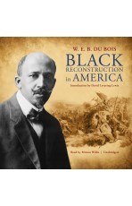 Black Reconstruction in America
