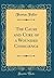 The Cause and Cure of a Wounded Conscience (Classic Reprint)