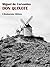 Don Quixote by Miguel de Cervantes Saavedra