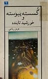 گسسته پیوسته و خو...