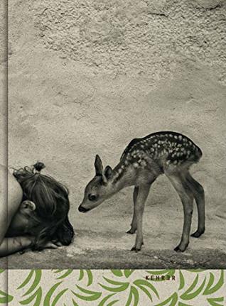 Summer of the Fawn (Hardcover)