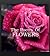 The Poetry of Flowers