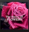 The Poetry of Flo...
