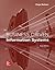 Business Driven Information Systems