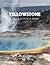 YELLOWSTONE: Enigma in Fire...
