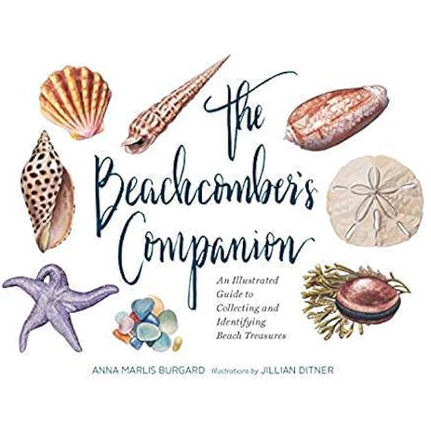 The Beachcomber's Companion: An Illustrated Guide to Collecting and Identifying Beach Treasures (Watercolor Seashell and Shell Collecting Book, Beach Lover Gift)