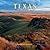 Texas: Portrait of a State