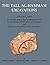 The Tall al-Hammam Excavations, Volume 1 by Steven   Collins