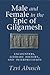 Male and Female in the Epic of Gilgamesh: Encounters, Literary History, and Interpretation