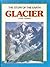 Glacier by Lionel Bender