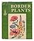 Guide to Border Plants