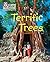 Terrific Trees