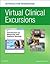 Virtual Clinical Excursions Online and Print Workbook for Introduction to Maternity and Pediatric Nursing