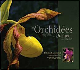 Orchidées indigènes du Québec / Labrador (Paperback)