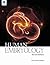 Human Embryology