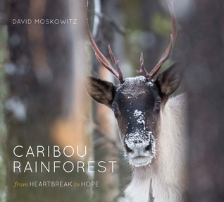 Caribou Rainforest from Heartbreak to Hope