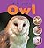 The Life Cycle of an Owl (Learning About Life Cycles)