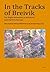In the Tracks of Breivik: Far Right Networks in Northern and Eastern Europe (37) (Politik: Forschung und Wissenschaft)
