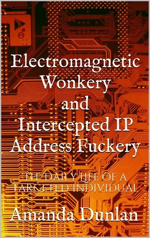 Electromagnetic Wonkery and Intercepted IP Address Fuckery