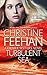 Turbulent Sea (Drake Sisters, #6)