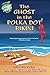 The Ghost In The Polka Dot Bikini (Ghost of Granny Apples Mystery Book 2)