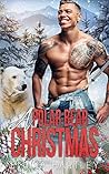 A Polar Bear Christmas by Emilia Hartley
