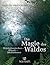 Die Magie des Waldes by Valentin Kirschgruber