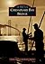 Chesapeake Bay Bridge (Images of America)