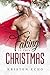 Faking It This Christmas by Kristen Echo