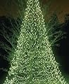 Year's End by Jhumpa Lahiri