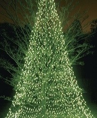 Year's End