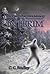 Interim (Shadows of Forgotten Memory #1)