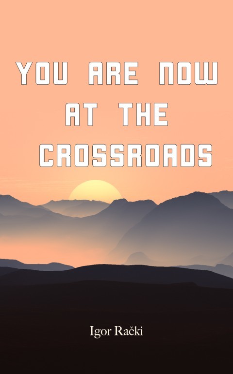 ebook download You are now at the crossroads