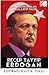 Recep Tayyip Erdogan : Reformis Politik Turki