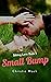 Small Bump (Sibling Love, #2)