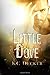 Little Dove: A Gritty Erotic Romance