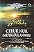 Ceruk Nur