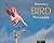 Mastering Bird Photography:...