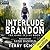 Interlude-Brandon (The Game is Life, #3)