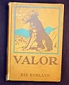 Valor: The Story Of A Dog Valor: The Story Of A Dog