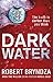 Dark Water (Detective Erika Foster, #3)