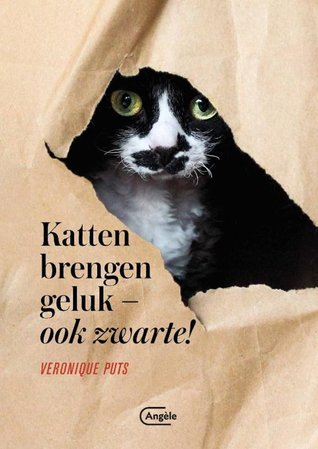 Katten brengen geluk - ook zwarte