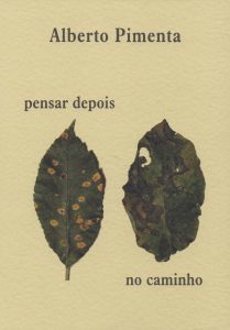 Pensar depois no Caminho (Paperback)