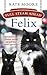 Full Steam Ahead, Felix: Adventures of a famous station cat and her kitten apprentice