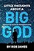 Little Thoughts About a Big...
