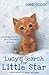 Lucys Search For Little Star